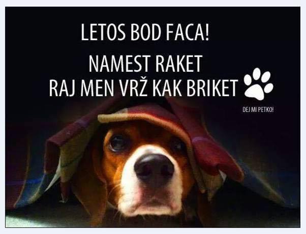 Poskrbimo za naše ljubljence v prazničnem obdobju