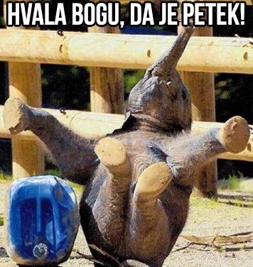 jupiiii :) PETEK je in pred vrati je vikend ;)
čas za počitek, zabavo, za druženje! pa za kak...